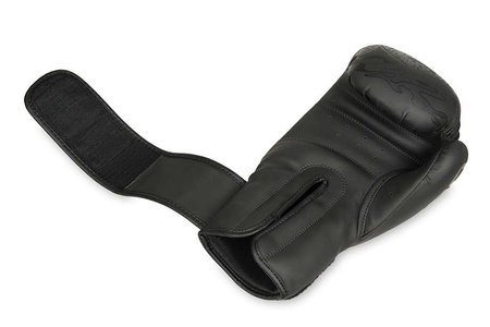 DBX BUSHIDO "Black Dragon" B-2v18 8oz sparring boxningshandskar