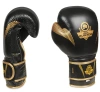 Gants de boxe en cuir naturel B-2v13