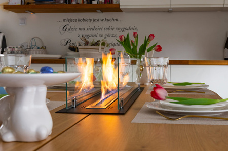 Bioșemineu pentru instalare 100 cm - negru mat cu ochelari | Modern Fireplace Insert