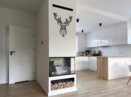 Ochelari pentru Corner Bio-Fireplace BIO-EKO - Sticlă de protecție pentru șemineu organic