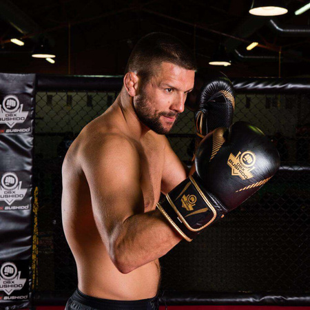 Gants de boxe en cuir naturel B-2v13