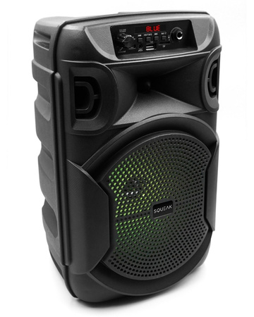SQUEAK PulseTower 1000W Bluetooth Wireless Speaker with Karaoke Function - 30W Power, Bluetooth 5.3
